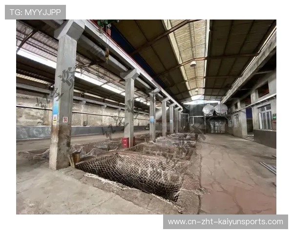 社会资本“退出潮”？茅台镇项目引发投资疑虑